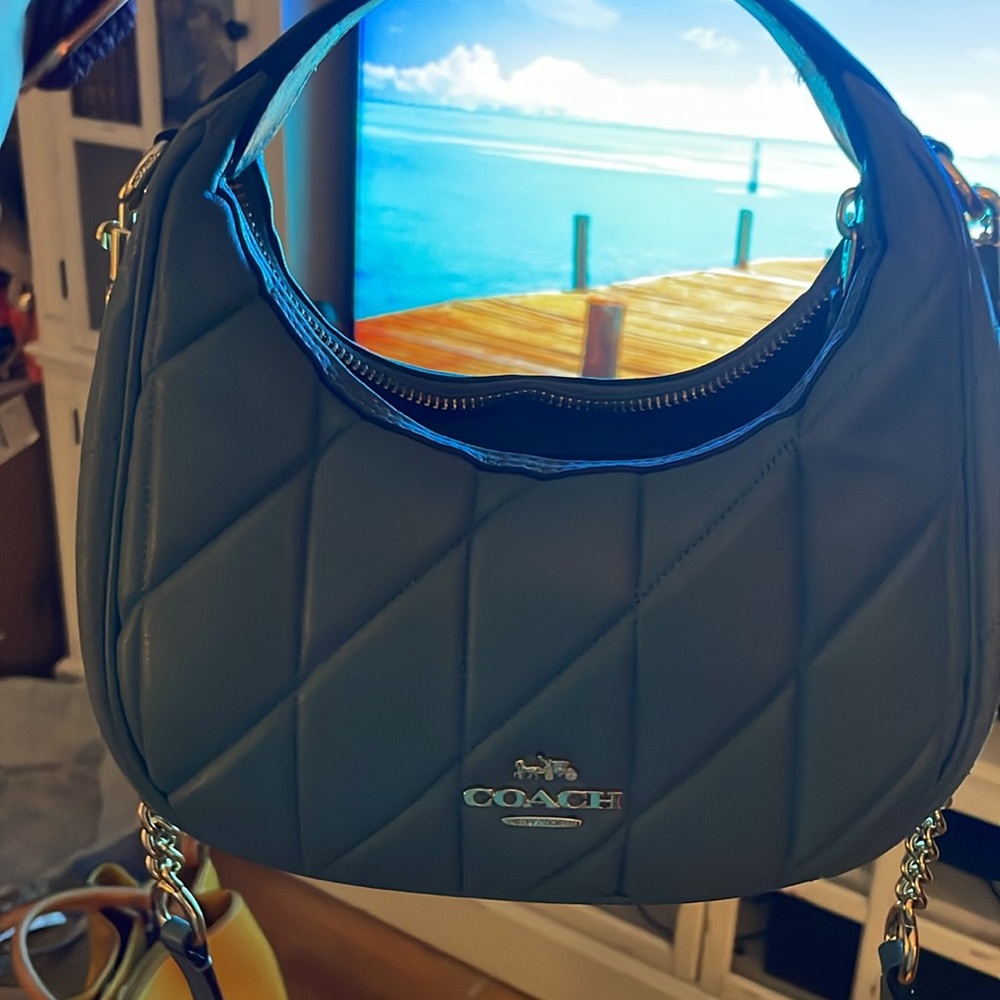 Coach Carmen Mini Crossbody Bag leather with Gold accents Sage Green CY710 - Picture 10 of 11